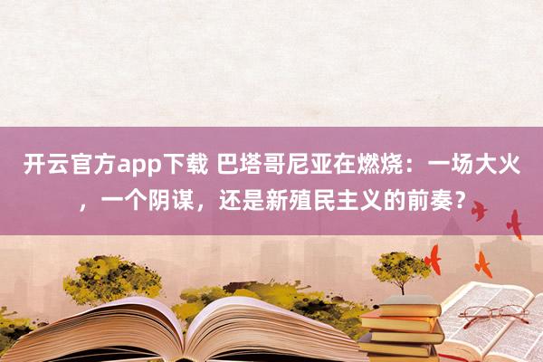开云官方app下载 巴塔哥尼亚在燃烧:一场大火,一个阴谋,还是新殖民主义的前奏?