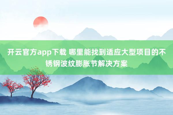 开云官方app下载 哪里能找到适应大型项目的不锈钢波纹膨胀节解决方案