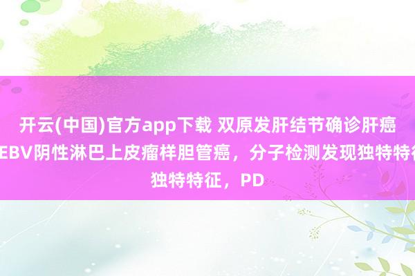 开云(中国)官方app下载 双原发肝结节确诊肝癌和罕见EBV阴性淋巴上皮瘤样胆管癌，分子检测发现独特特征，PD