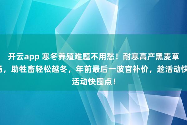 开云app 寒冬养殖难题不用愁!耐寒高产黑麦草种登场,助牲畜轻松越冬,年前最后一波官补价,趁活动快囤点!