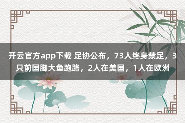 开云官方app下载 足协公布,73人终身禁足,3只前国脚大鱼跑路,2人在美国,1人在欧洲