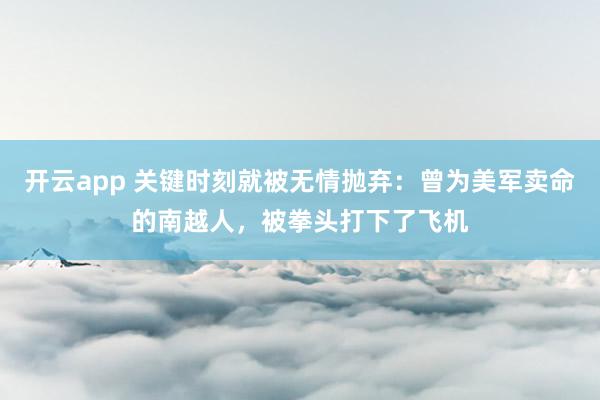 开云app 关键时刻就被无情抛弃:曾为美军卖命的南越人,被拳头打下了飞机