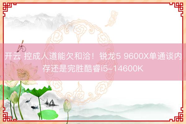 开云 控成人道能欠和洽！锐龙5 9600X单通谈内存还是完胜酷睿i5-14600K