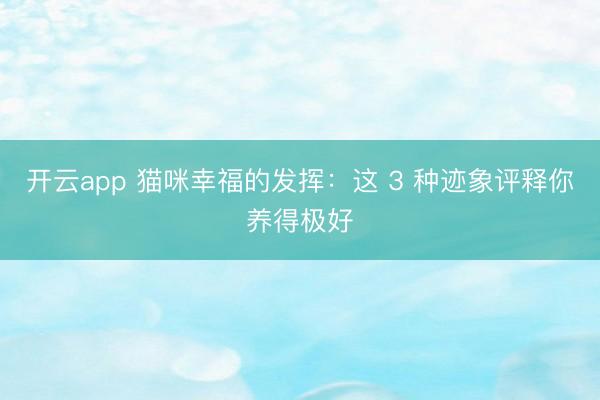 开云app 猫咪幸福的发挥：这 3 种迹象评释你养得极好